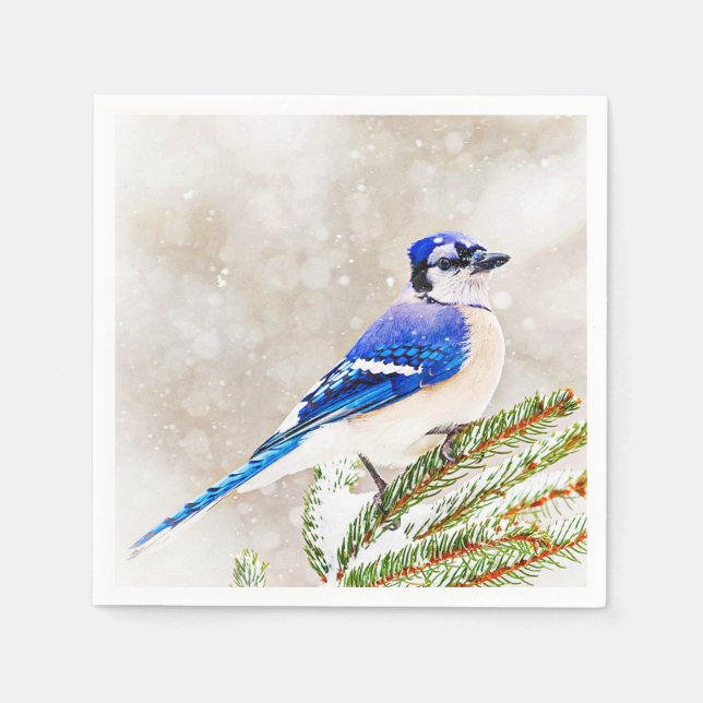 Blue Jay in Winter Pappersservett (Framsidan)