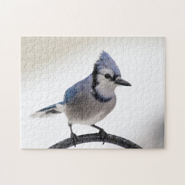 Blue Jay in Winter Pussel (Horisontell)