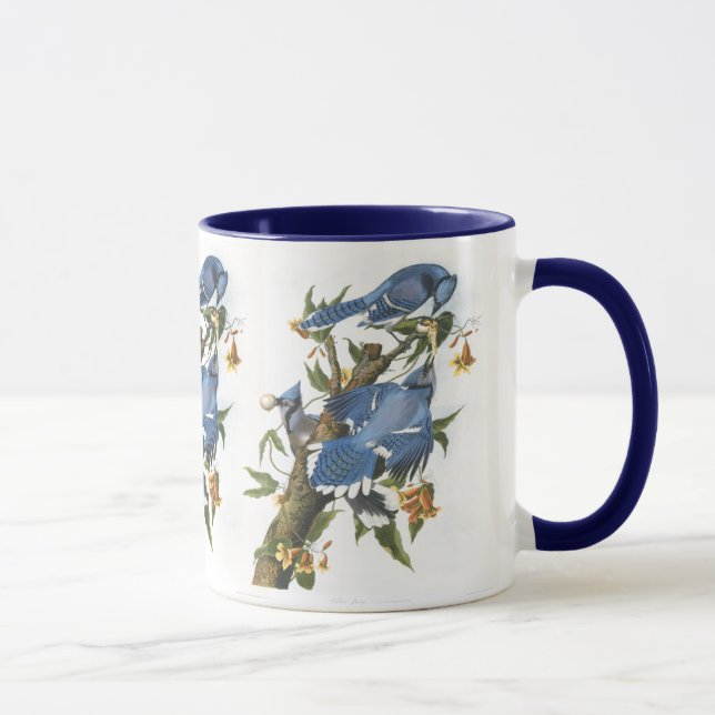 Blue Jay, John James Audubon Mugg (Höger)