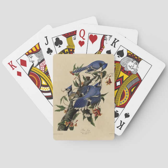 Blue Jay - John James Audubon's Birds of America Casinokort (Baksidan)