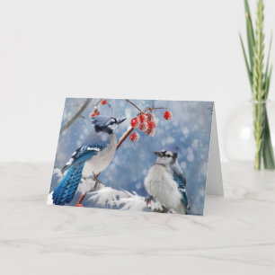 Blue Jay jul Helgkort