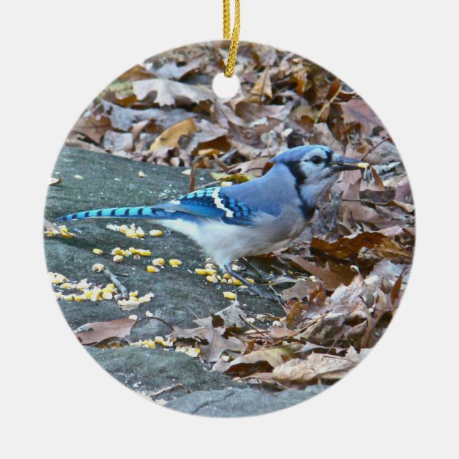 Blue Jay jul Ornament (Framsidan)