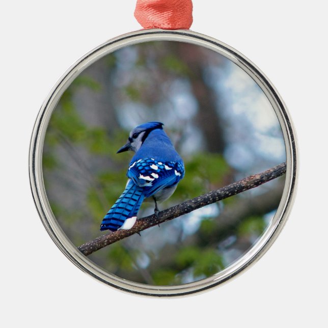 Blue Jay Julgransprydnad Metall (Framsidan)