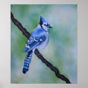 Blue Jay Kanvastryck Poster