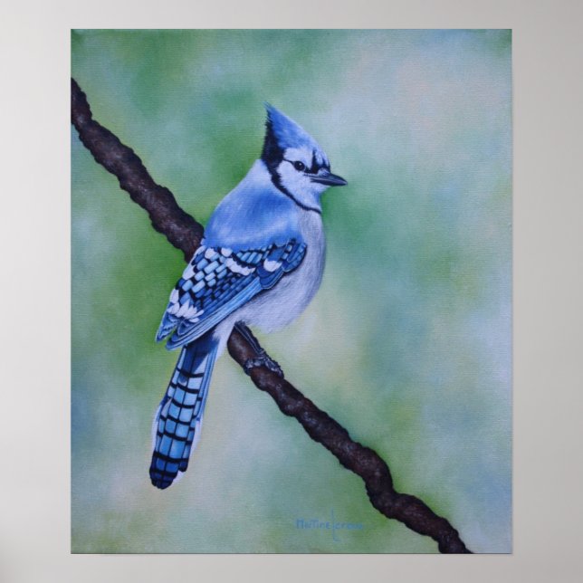 Blue Jay Kanvastryck Poster (Framsidan)