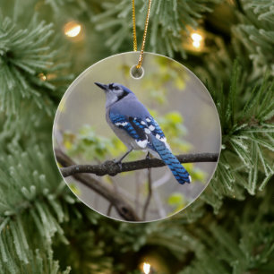 Blue Jay   Keramisk prydnadsföremål Julgransprydnad Keramik