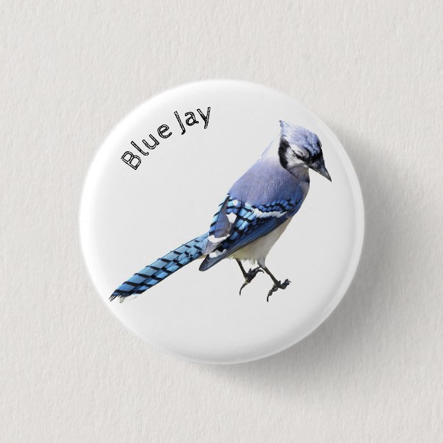Blue Jay Knapp (Framsida)
