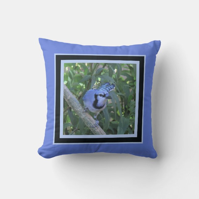 Blue Jay-kudde, inramad i mörk och ljusblues Kudde (Framsida)