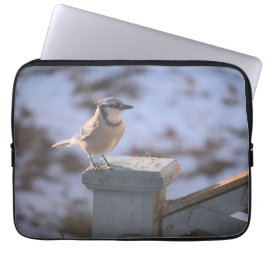 Blue Jay Laptop Fodral