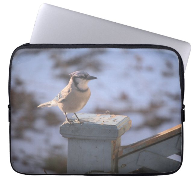 Blue Jay Laptop Fodral (Framsidan)