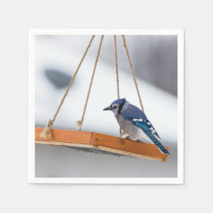 Blue Jay Lunch Pappersservett