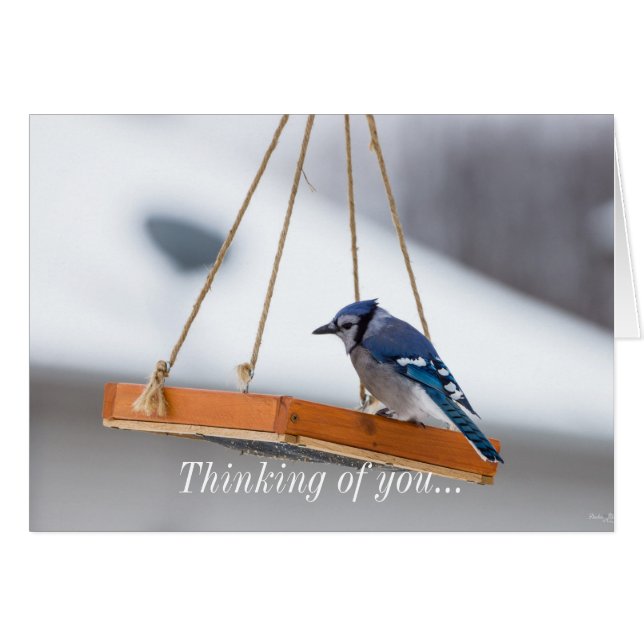 Blue Jay Lunch Thinking Card OBS Kort (Framsidan Horizontal)