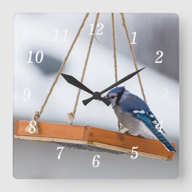 Blue Jay Lunch Wall Clock Fyrkantig Klocka (Framsida)
