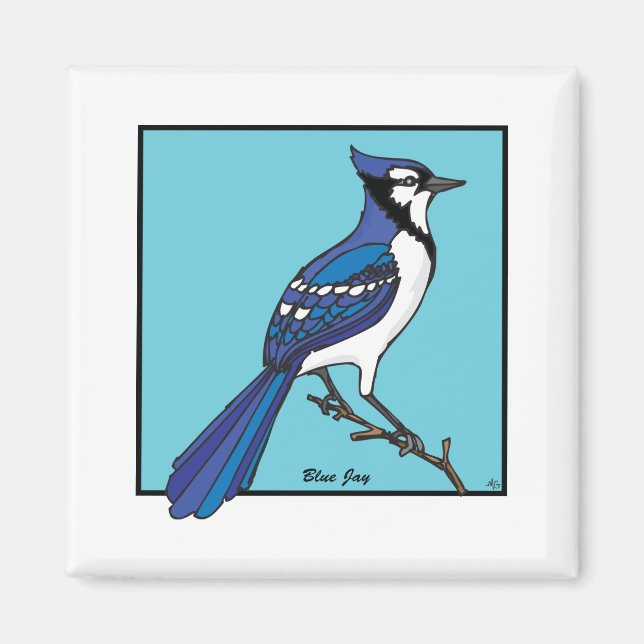 BLUE JAY MAGNET (Framsidan)