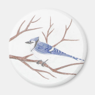 Blue Jay Magnet