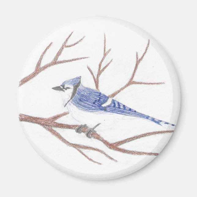 Blue Jay Magnet (Framsidan)