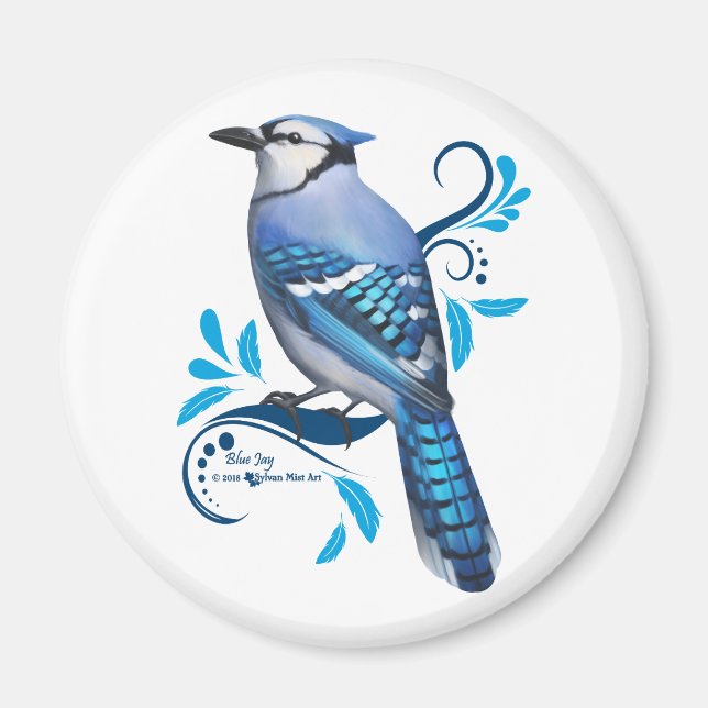 Blue Jay Magnet (Framsidan)
