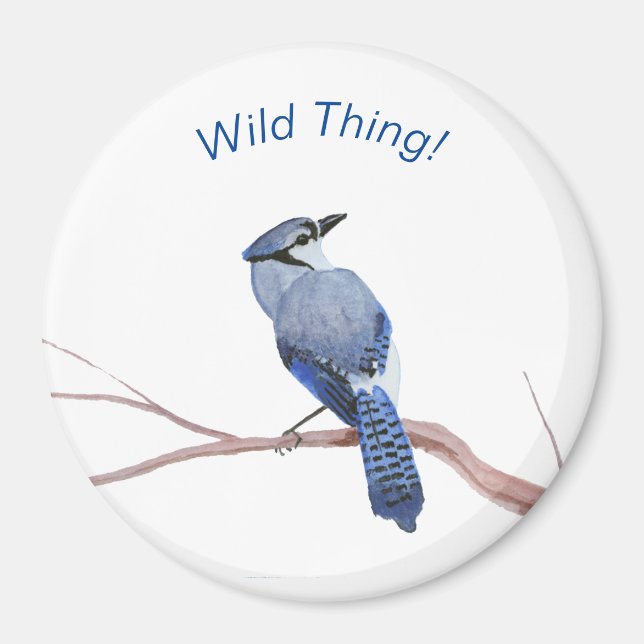 Blue Jay Magnet (Framsidan)
