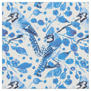 Blue Jay Melody Tyg