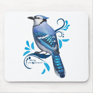 Blue Jay Musmatta