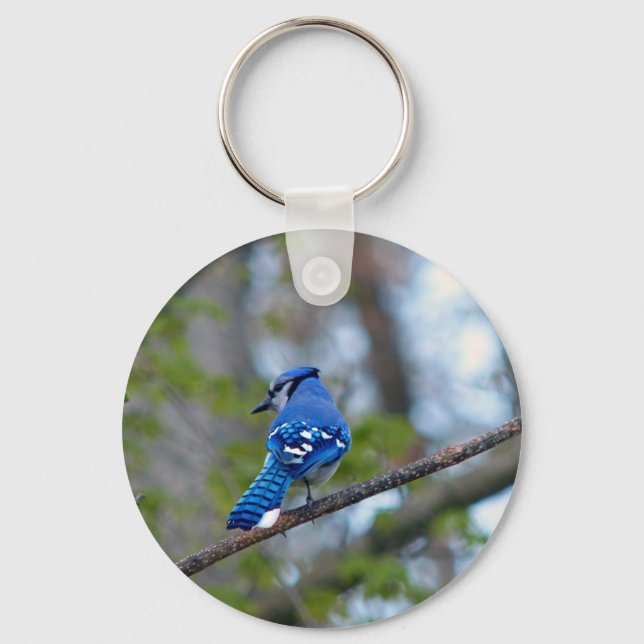 Blue Jay Nyckelring (Framsida)