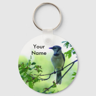 Blue Jay Nyckelring
