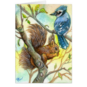 Blue Jay och Squirrel OBS Kort