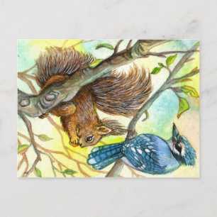 Blue Jay och Squirrel Vykort