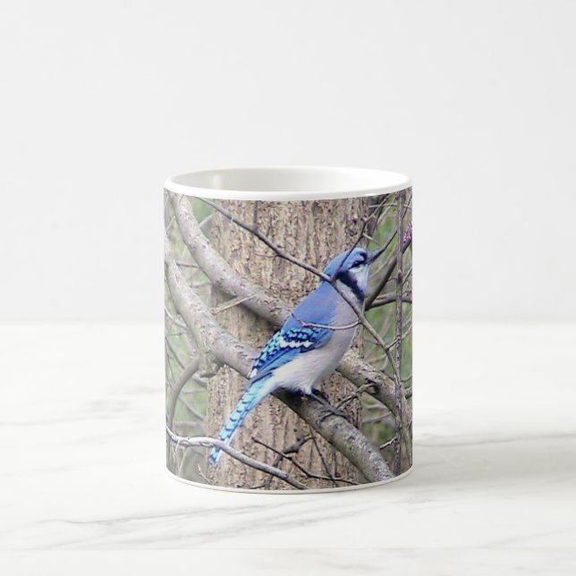 Blue Jay (Ohio) Mugg (Center)