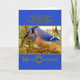 Blue Jay på Cedar Feeder w Fir Closeup Helgkort