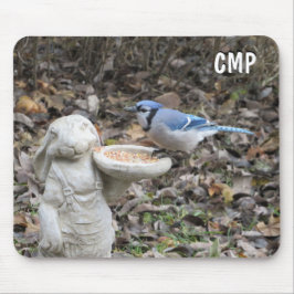 Blue Jay på Cute Rabbit Bird Feeder Musmatta
