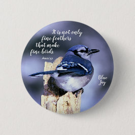 Blue Jay på Post Wildlife Photograph Nature Knapp