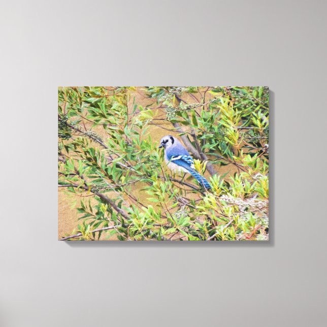 Blue Jay på södra Vax Myrtle Canvastryck (Framsida)