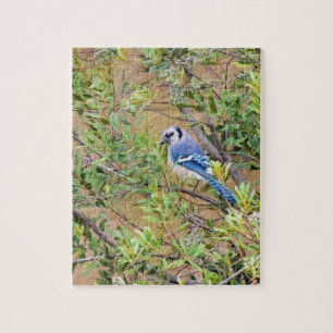 Blue Jay på Vax Myrtle Pussel