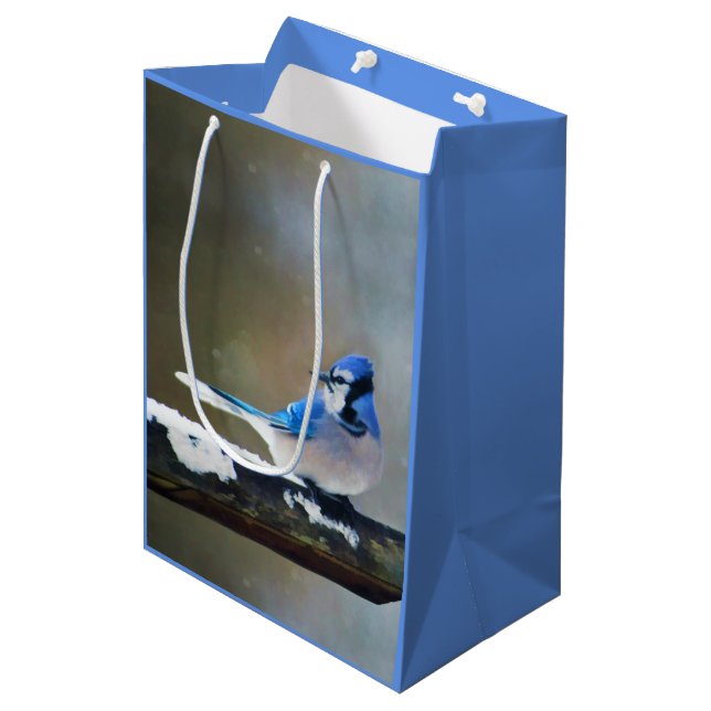 Blue Jay Painting - Original Bird Art (Framsidan Vinklad)