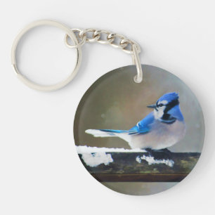 Blue Jay Painting - Original Bird Art