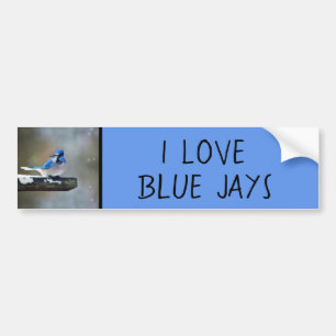 Blue Jay Painting - Original Bird Art Bildekal