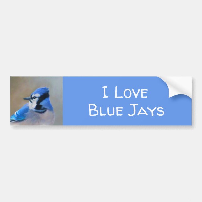 Blue Jay Painting - Original Bird Art Bildekal (Framsidan)