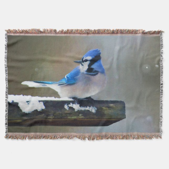 Blue Jay Painting - Original Bird Art Filt (Framsidan)