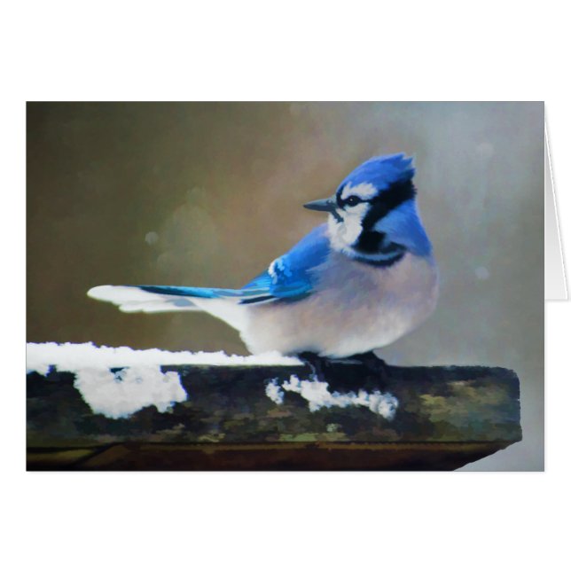 Blue Jay Painting - Original Bird Art Hälsningskort (Framsidan Horizontal)