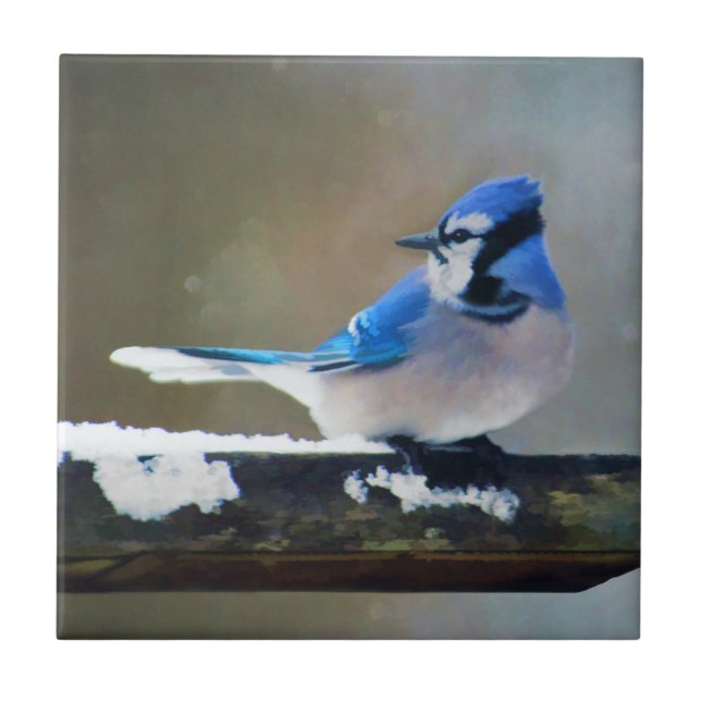 Blue Jay Painting - Original Bird Art Kakelplatta (Framsidan)