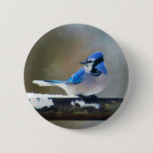 Blue Jay Painting - Original Bird Art Knapp