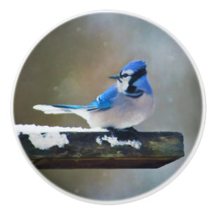 Blue Jay Painting - Original Bird Art Knopp