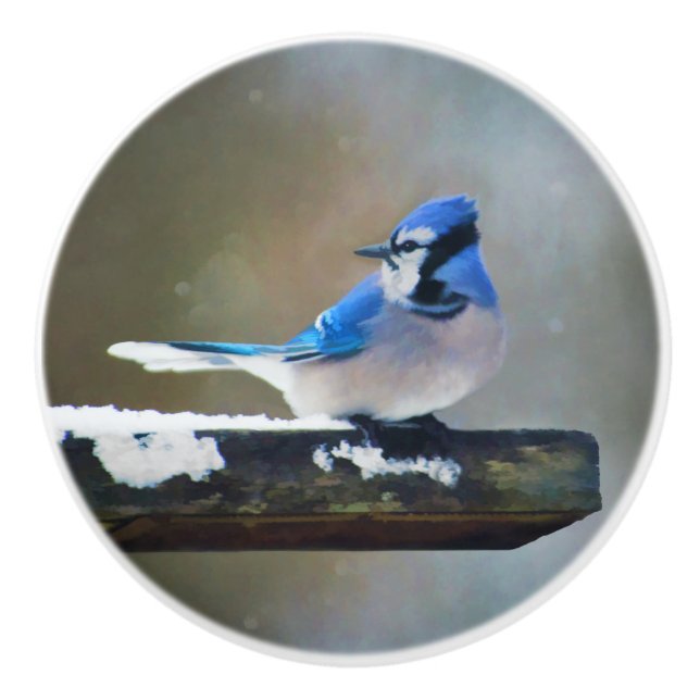 Blue Jay Painting - Original Bird Art Knopp (Framsidan)