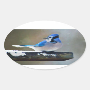 Blue Jay Painting - Original Bird Art Ovalt Klistermärke