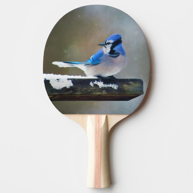 Blue Jay Painting - Original Bird Art Pingisracket (Framsidan)
