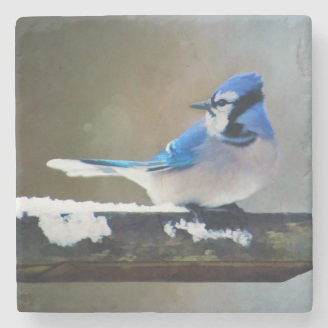 Blue Jay Painting - Original Bird Art Stenunderlägg (Framsidan)