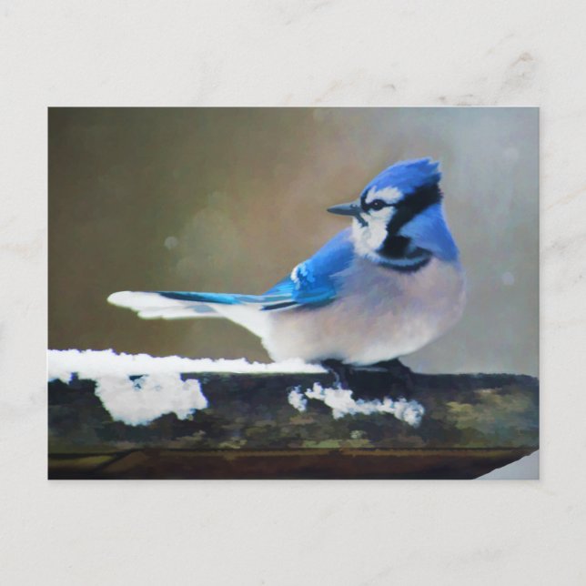 Blue Jay Painting - Original Bird Art Vykort (Framsida)
