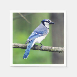 Blue Jay Pappersservett