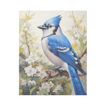 Blue Jay Perched på en Gren med Blommar